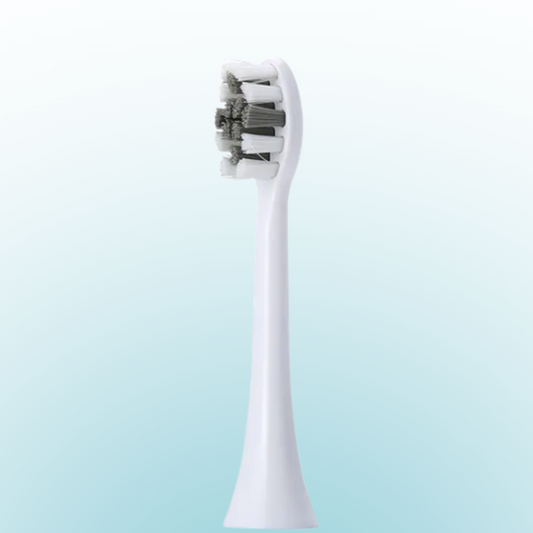 Switchable Regular Brush (Free Gift)